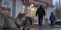Кота забили у магазина на глазах у ребенка. Живодеру отмерили 2,5 года - SyasNews.Ru