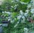 i (91) - OrelTimes.Ru