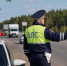 В ДТП под Арзамасом пострадали четверо, включая двух маленьких детей - ProGorodNN.Ru