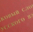 В России насчитали 155 языков народов страны - Кингисепп-сегодня.рф