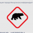 В посёлке Сухое Озеро замечен медведь, а в районе ТЭЦ сбит медвежонок. - Администрация