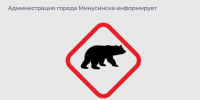 В посёлке Сухое Озеро замечен медведь, а в районе ТЭЦ сбит медвежонок. - Администрация