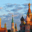 Фото: Catarina Belova/Shutterstock/Fotodom - Ямал-Медиа
