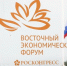 Подведены итоги Восточного экономического форума – 2026 - Полномочный представитель Президента РФ в ДФО