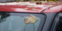 Ночные температуры в Приамурье упадут до 0° - ИА Порт Амур