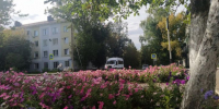 Погода в Бугульме в воскресенье 6 сентября - Бугульминская газета