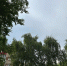 В Оренбурге сегодня облачно и до +31°С - ProOren.Ru