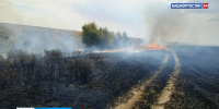 В Башкортостане за сутки зафиксировали один лесной пожар | ГТРК «Башкортостан» - ГТРК Башкортостан