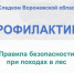 Региональное следственное управление напоминает правила безопасности при походах в лес - Следственный комитет