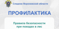 Региональное следственное управление напоминает правила безопасности при походах в лес - Следственный комитет