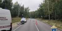 Мотоциклист погиб после наезда на собаку на трассе в Ульяновской области - Ulyanovsk.Express