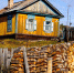 Фото: DariaGa/Shutterstock/Fotodom - Ямал-Медиа