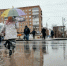В Самарской области объявлен желтый уровень опасности из-за дождя и сильного ветра - Комсомольская Правда Самара