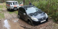 В Алтайском крае спасли заблудившегося грибника - Комсомольская Правда