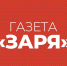 Популярен ли сапсёрфинг в Суровикино? - Газета Заря