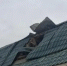 За сутки в Белгородской области погибли три человека, ещё четверо пострадали - Мир Белогорья