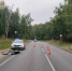 Под Димитровградом мотоциклист погиб из-за выбежавшей собаки - Комсомольская правда