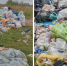 В Новосибирской области неизвестные забросали мусором пляж Обского моря - Gorsite.Ru