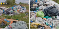 В Новосибирской области неизвестные забросали мусором пляж Обского моря - Gorsite.Ru