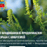 Уважаемые жители Владикавказа!  - Администрация г. Владикавказ
