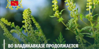 Уважаемые жители Владикавказа!  - Администрация г. Владикавказ