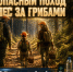 Правила безопасного похода в лес за грибами: рекомендации от МЧС России - МЧС