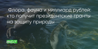 Поделитья во ВКонтакте - Братская Студия Телевидения
