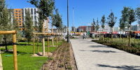 На кировских клумбах могут появиться системы автополива - Kirov.Online