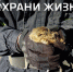 ПЛАМЯ НА ВЕТРУ: умей предотвратить беду! - МЧС России