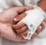 Фото: A3pfamily/Shutterstock/Fotodom - Ямал-Медиа