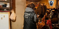 Жительница Костромской области зарезала сожителя ножом - Комсомольская Правда