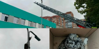 В Тольятти спасли сову, попавшую в ловушку на стройплощадке - Комсомольская Правда Самара