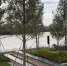 Омские блогеры призвали бережно относиться к новым городским пространствам - 12 канал