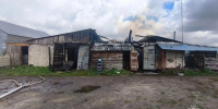 Пожар на ферме потушили в Большеболдинском округе - Нижегородская правда