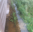 Дожди ушли, вода осталась. Садоводов во Всеволожском районе запоздало затопило - 47 новостей