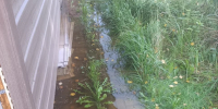 Дожди ушли, вода осталась. Садоводов во Всеволожском районе запоздало затопило - 47 новостей