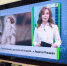 «Область 45» в эфире ОТР с 7 по 13 сентября: телепрограмма - Область 45