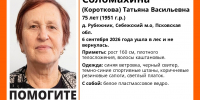 Изображение: поисковый отряд «ЛизаАлерт» - InformPskov.Ru