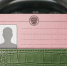 В МВД объяснили порядок возврата водительских прав после лишения - Pln-Pskov.Ru