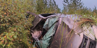 Лось устроил смертельную аварию в Калужской области - Телерадиокомпания Ника