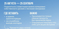 Ленинградский зоопарк ждет кабачки и тыквы - 47 новостей