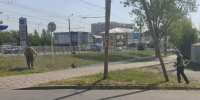 Ставропольские аллергики получили график бомбардировок от амброзии на следующую неделю - Bloknot-Stavropol.Ru