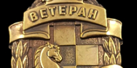 Первенство Самарской области среди ветеранов по шахматам. - Федерация шахмат