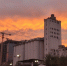 photo_2026-09-06_19-46-33 - Novosti-Saratova.Ru