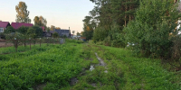 Жители улицы Сельской в Шарье пожаловались в ЛДПР на бездорожье - ЛДПР
