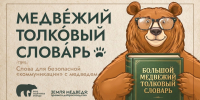 Тематическое фото - MagadanMedia.Ru
