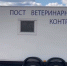 В Иркутской области началась эпизоотия - Газета Номер один