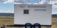 В Иркутской области началась эпизоотия - Газета Номер один