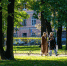 В Санкт-Петербурге ожидается до +15 градусов 7 сентября - Spbdnevnik.ru