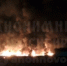 В Первомайском районе Новосибирска ночью вспыхнул мощный пожар - Gorsite.Ru